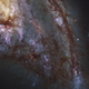 Spiral galaxy Messier 66, located about 35 million light-years away. “Like all the galaxies in LEGUS, Messier 66 is undergoing vigorous star and star-cluster formation,” write the Hubble scientists. “One of the goals of LEGUS is to sample star-forming regions across each galaxy. Because the galaxies are relatively close to Earth, Hubble can resolve individual stars.”